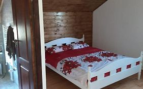 Casa De Vacanta Cabana Toto